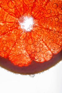 Red Marine Algae